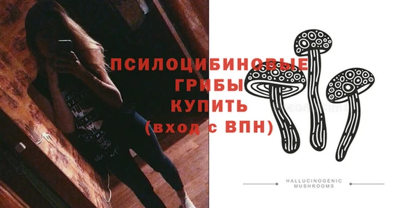ГАЛЛЮЦИНОГЕННЫЕ ГРИБЫ Белокуриха
