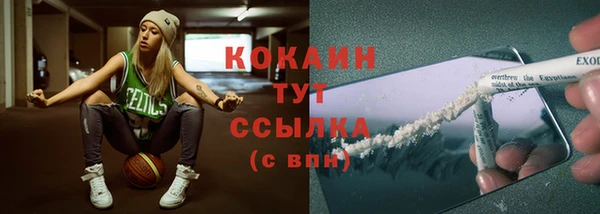 винт Богородицк