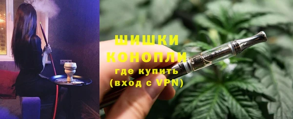 ГАЛЛЮЦИНОГЕННЫЕ ГРИБЫ Белокуриха