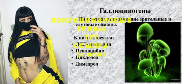 ГАЛЛЮЦИНОГЕННЫЕ ГРИБЫ Белокуриха